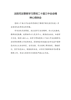 法院司法警察学习贯彻二十届三中全会精神心得体会.docx