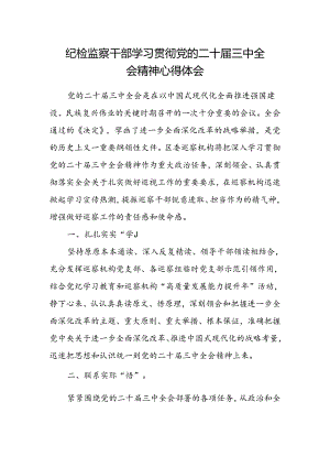纪检监察干部学习贯彻党的二十届三中全会精神心得体会.docx
