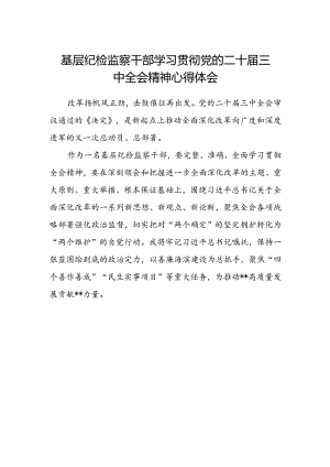 基层纪检监察干部学习贯彻党的二十届三中全会精神心得体会.docx