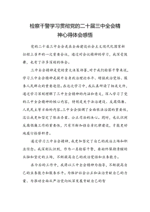 检察干警学习贯彻党的二十届三中全会精神心得体会感悟.docx