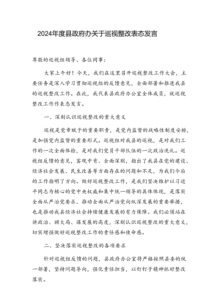 2024年度县政府办关于巡视整改表态发言和在巡察县政府办公室反馈会议上的讲话.docx_第2页