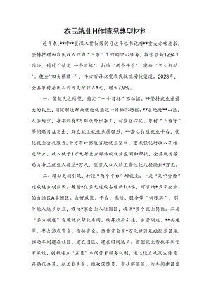 农民就业工作情况典型材料.docx