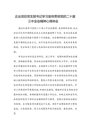 企业项目党支部书记学习宣传贯彻党的二十届三中全会精神心得体会.docx