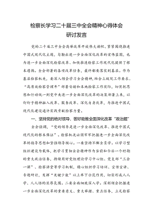 检察长学习二十届三中全会精神心得体会研讨发言.docx