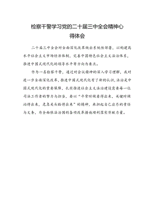 检察干警学习党的二十届三中全会精神心得体会.docx