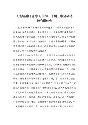 纪检监察干部学习贯彻二十届三中全会精神心得体会.docx