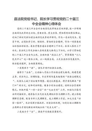 县法院党组书记、院长学习贯彻党的二十届三中全会精神心得体会.docx