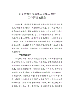 某某县教育局落实未成年人保护工作情况的报告.docx