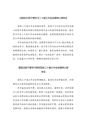法院执行局干警学习二十届三中全会精神心得体会8篇（精选版）.docx