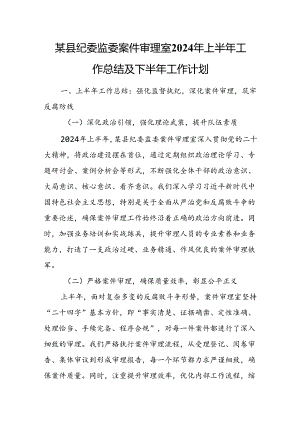 某县纪委监委案件审理室2024年上半年工作总结及下半年工作计划.docx