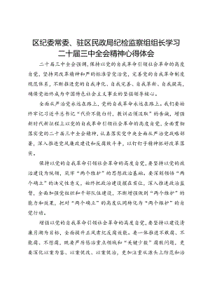 区纪委常委、驻区民政局纪检监察组组长学习二十届三中全会精神心得体会.docx