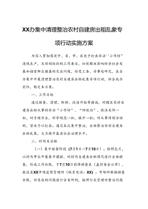 XX办集中清理整治农村自建房出租乱象专项行动实施方案.docx