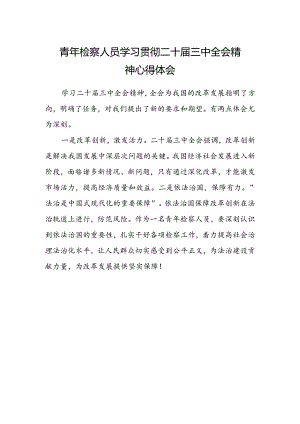 青年检察人员学习贯彻二十届三中全会精神心得体会.docx