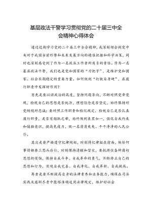 基层政法干警学习贯彻党的二十届三中全会精神心得体会.docx