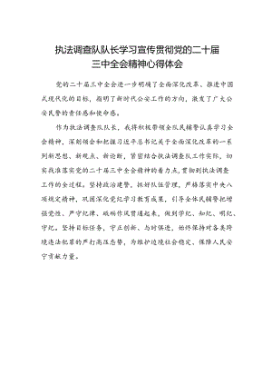 执法调查队队长学习宣传贯彻党的二十届三中全会精神心得体会.docx