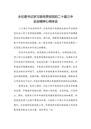乡纪委书记学习宣传贯彻党的二十届三中全会精神心得体会.docx