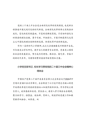 小学教师学习党的二十届三中全会精神研讨发言（共五篇）.docx