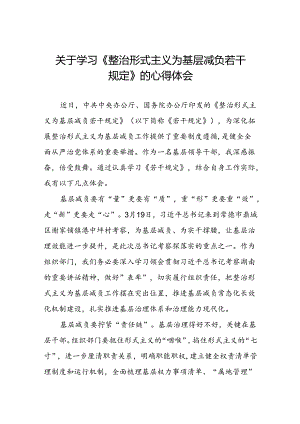 整治形式主义为基层减负若干规定的学习感悟.docx