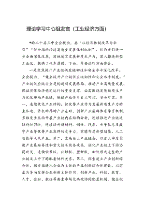 理论学习中心组发言.docx