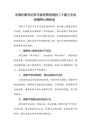 乡镇纪委书记学习宣传贯彻党的二十届三中全会精神心得体会.docx