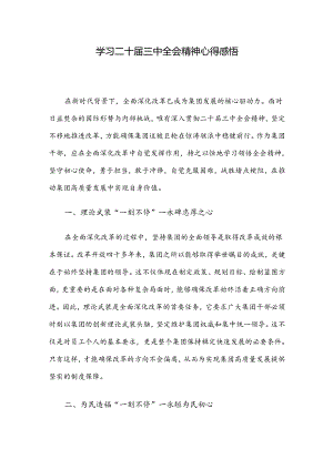 学习二十届三中全会精神心得感悟.docx