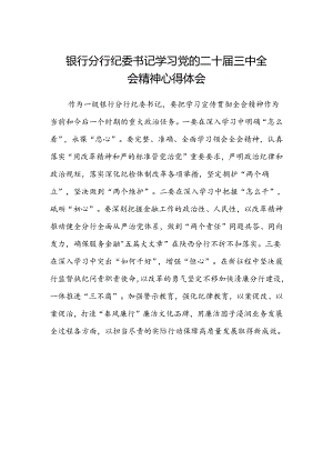 银行分行纪委书记学习党的二十届三中全会精神心得体会.docx