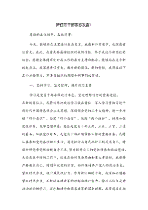 新任职干部表态发言2篇.docx