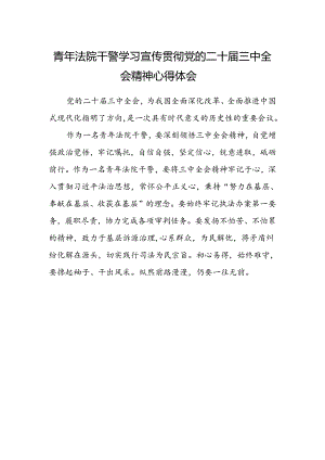 青年法院干警学习宣传贯彻党的二十届三中全会精神心得体会.docx