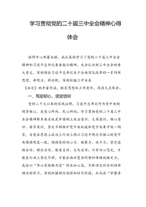 学习贯彻党的二十届三中全会精神心得体会.docx
