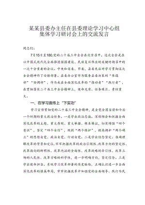 某某县委办主任在县委理论学习中心组集体学习研讨会上的交流发言.docx