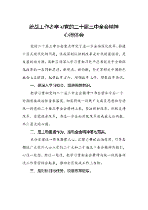 统战工作者学习党的二十届三中全会精神心得体会.docx