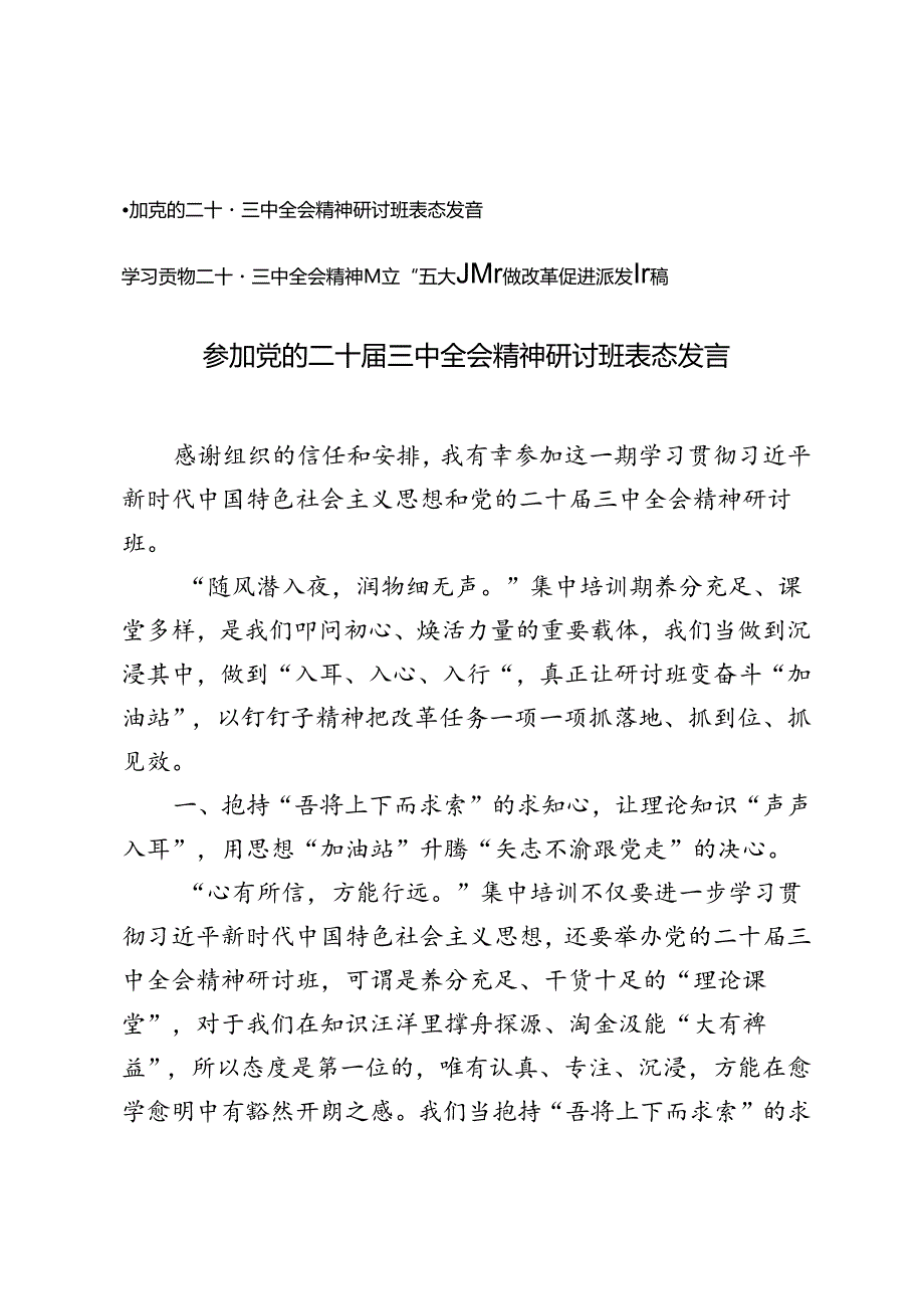学习二十届三中全会精神树立“五大思维”做改革促进派发言稿+参加党的二十届三中全会精神研讨班表态发言.docx_第1页