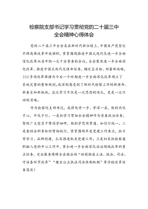 检察院支部书记学习贯彻党的二十届三中全会精神心得体会.docx