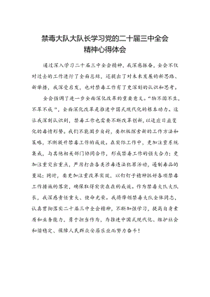 禁毒大队大队长学习党的二十届三中全会精神心得体会.docx