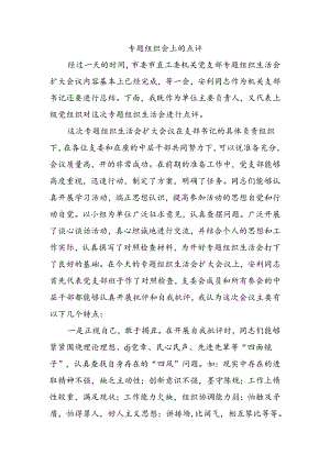 专题组织会上的点评.docx