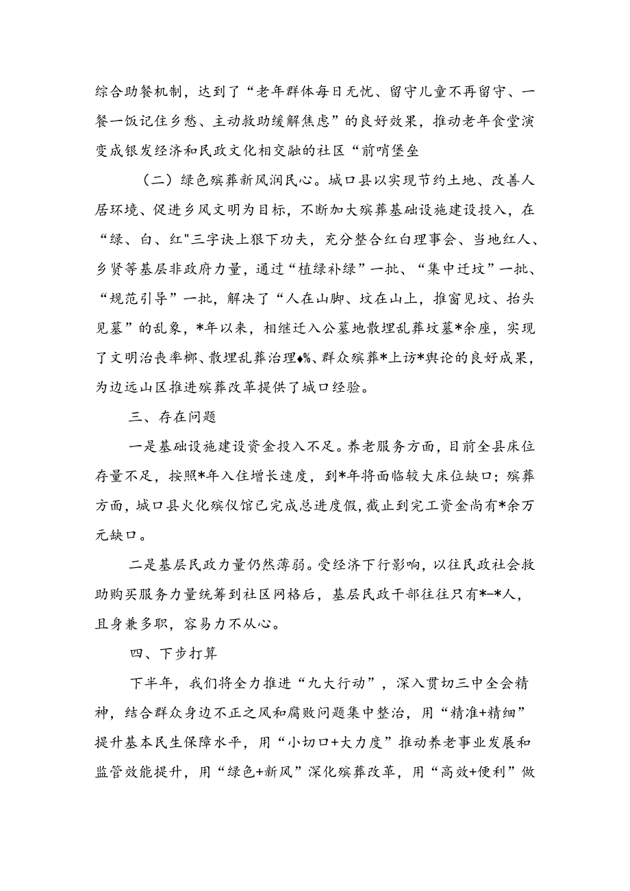 民政半年务虚工作总结.docx_第3页