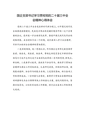 国企支部书记学习贯彻党的二十届三中全会精神心得体会.docx