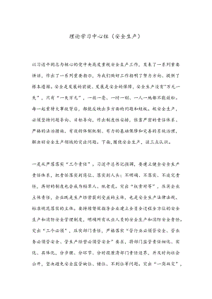 理论学习中心组（安全生产）.docx