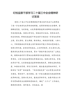 纪检监察干部学习二十届三中全会精神研讨发言范文.docx