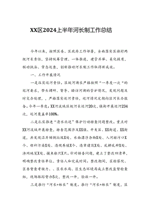 XX区2024上半年河长制工作总结.docx