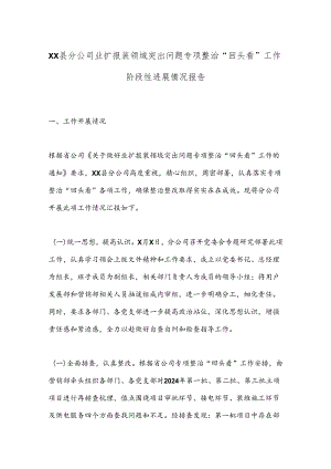 XX县分公司业扩报装领域突出问题专项整治“回头看”工作阶段性进展情况报告.docx