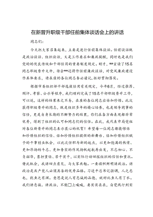 在新晋升职级干部任前集体谈话会上的讲话.docx