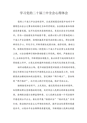 学习2024年学习党的二十届三中全会个人心得感悟 （3份）_61.docx