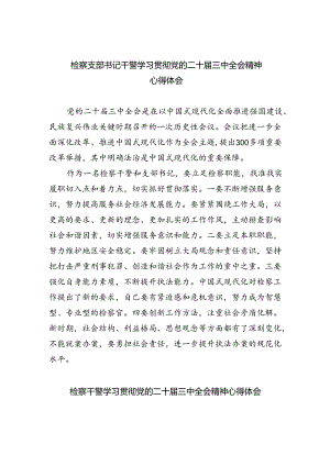 检察支部书记干警学习贯彻党的二十届三中全会精神心得体会（共四篇）.docx