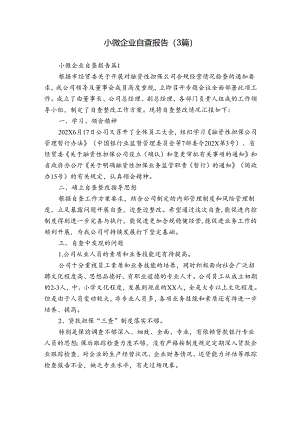 小微企业自查报告（3篇）.docx