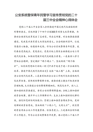 公安系统警保青年民警学习宣传贯彻党的二十届三中全会精神心得体会.docx