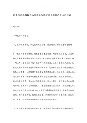 纪委书记在2024年纪检监察队伍建设专题推进会上的讲话.docx