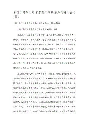 乡镇干部学习新常态新形象新作为心得体会（3篇）.docx