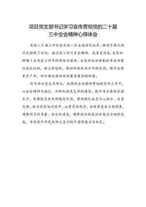 项目党支部书记学习宣传贯彻党的二十届三中全会精神心得体会.docx