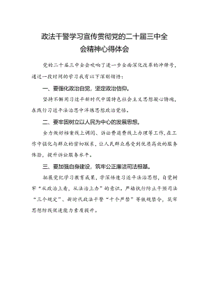 政法干警学习宣传贯彻党的二十届三中全会精神心得体会.docx